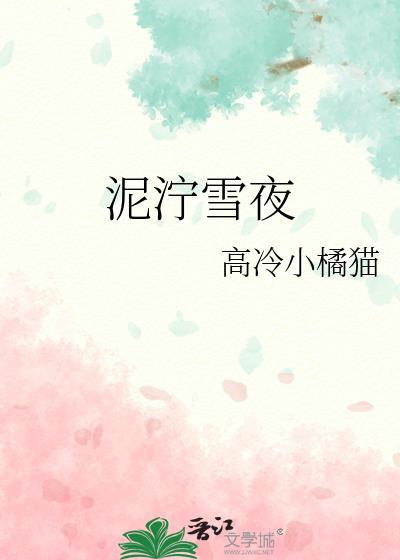 泥泞雪夜封面