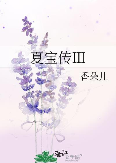 夏宝传Ⅲ封面