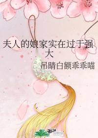 夫人的娘家实在过于强大百度封面