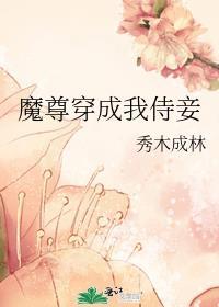 魔尊穿成我侍妾封面