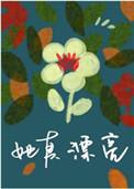 她真漂亮封面
