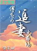 傅总的追妻火葬场封面