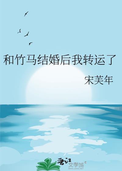 凤凰头钗封面