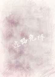 过路危桥封面