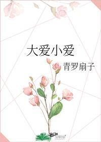大爱小爱封面