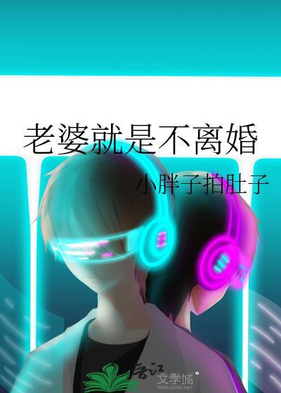 老婆就是不离婚封面