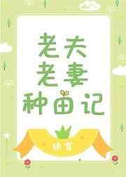 老夫老妻种田记(快穿)封面