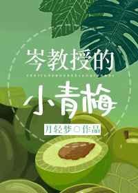岑教授的小青梅封面
