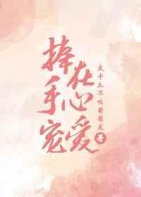 捧在手心宠爱什么意思封面