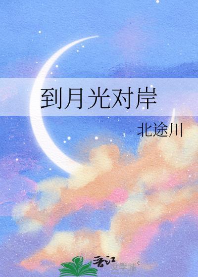 到月光对岸封面