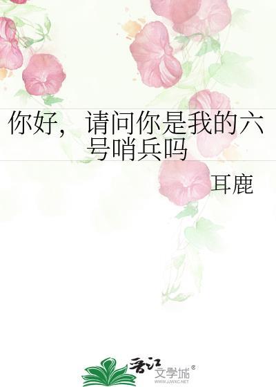 请问你是我的六号哨兵吗封面