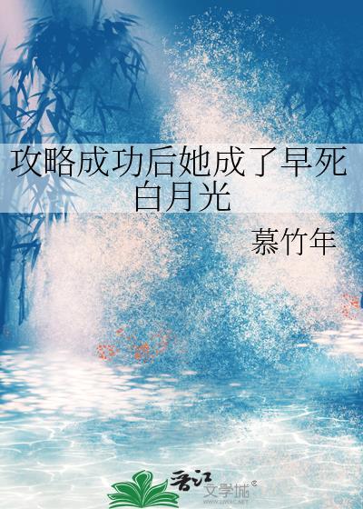攻略成功以后封面