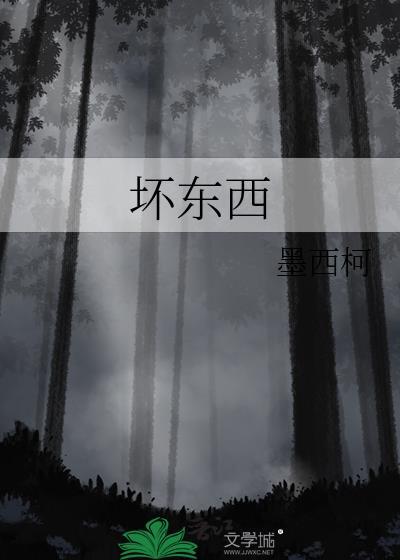 坏东西封面