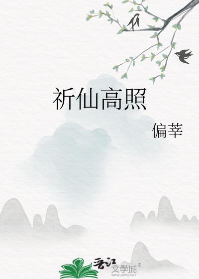 失忆妄为麻匣封面