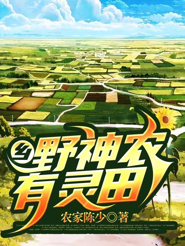 让龙国登顶宇宙的封面