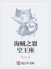 海贼王之空间破碎者封面