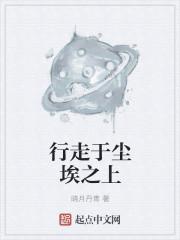行走于红尘陌上封面
