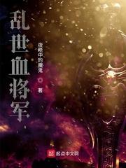 乱世将军定太平封面