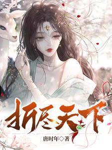 折尽天下封面