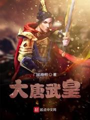 大唐武皇第一女官txt封面