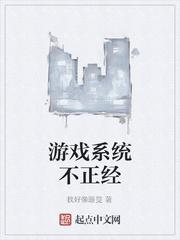 游戏系统不正经怎么办封面
