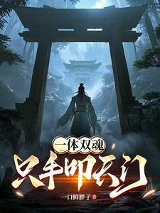 一体双魂，只手叩天门封面