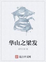 华山派梁发封面