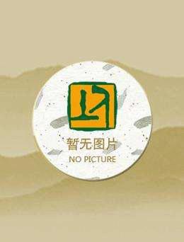 崇祯本记封面
