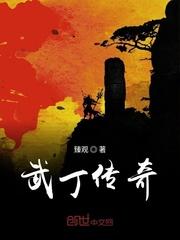 王朝中兴是什么意思封面
