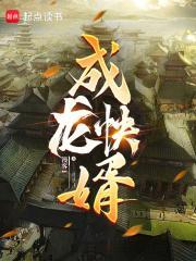 成龙快婿封面