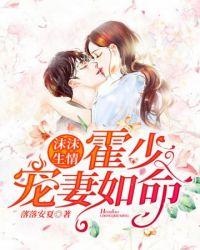 沐沐霍少封面