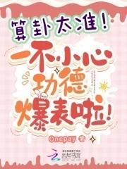 算卦太准,一不小心功德爆表啦!封面