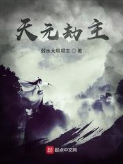 天元劫2封面