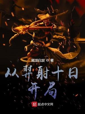 从射日开始封面