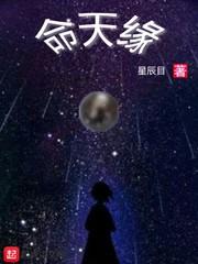 命天缘封面