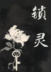 锁灵符图片封面