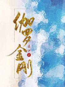 伽罗金刚封面