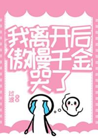 我离开后封面