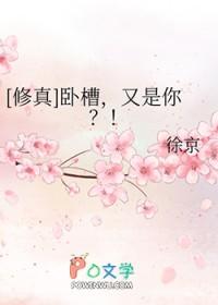 修真卧槽又是你 徐京封面