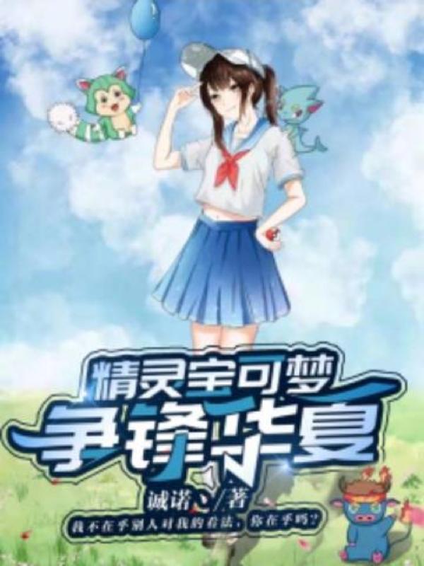 3ds宝可梦纷争封面
