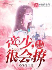 恶徒封面