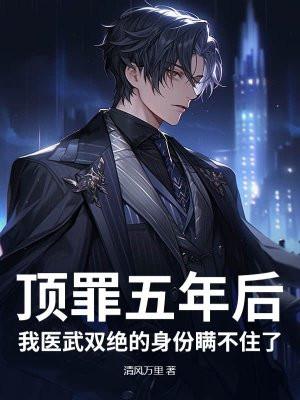 顶罪五年后，我医武双绝的身份瞒不住了封面