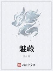 魅藏封面