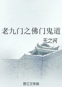 海贼王寻找难民封面