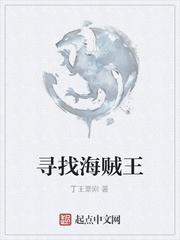 海贼王寻找的宝藏叫什么封面
