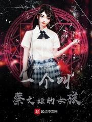 一个叫蔡文姬的女孩封面