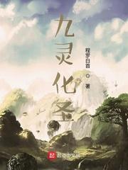 九灵化圣封面