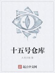 十五号源封面