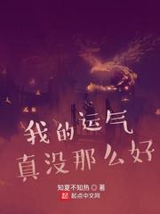 我的运气真没那么好封面
