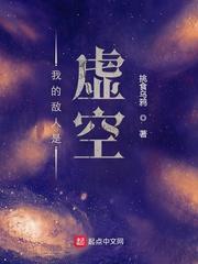 我的敌人是虚空封面